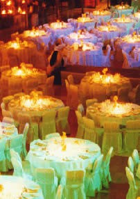 bodas 6
